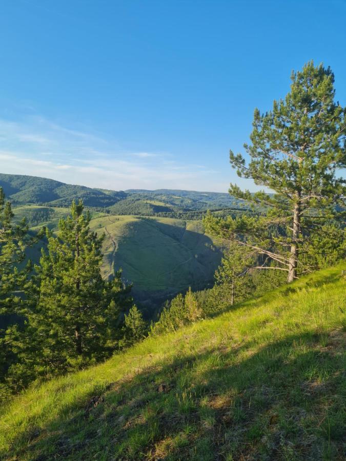 Apartman Juga Kremna Zewnętrze zdjęcie